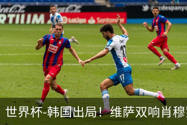 世界杯-韩国出局！维萨双响肖穆罗多夫神仙球 民主刚果3-1乌兹